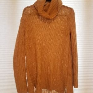 Turtleneck Tunic Sweater